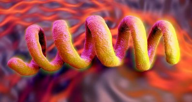 Sifilis ( Frengi ) Nedir, Belirtileri ve Tedavisi